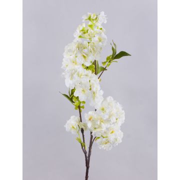Ramo di fiori di ciliegio artificiale MATSUDA con fiori, bianco crema, 80 cm, Ø 6-11 cm Ramo di fiori di ciliegio artificiale MATSUDA con fiori, bianco crema, 80 cm, Ø 6-11 cm