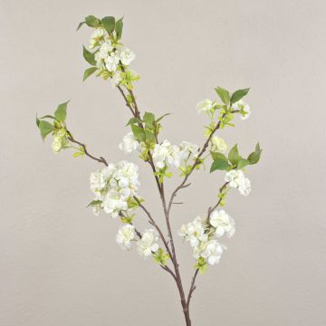 Ramo di fiori di ciliegio artificiale MATSUDA con fiori, bianco crema, 130 cm, Ø 6-11 cm Ramo di fiori di ciliegio artificiale MATSUDA con fiori, bianco crema, 130 cm, Ø 6-11 cm