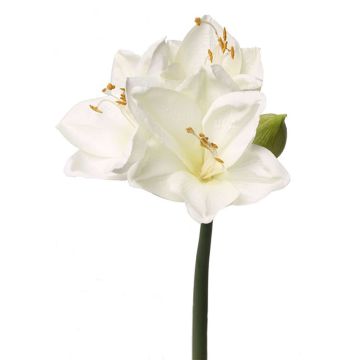 Amaryllis finto BENITA, bianco, 55cm, Ø10cm Amaryllis finto BENITA, bianco, 55cm, Ø10cm