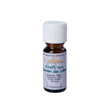 Olio essenziale naturale ROMERO, energia degli alberi della vita, 10ml, 7cm, Ø2,3cm