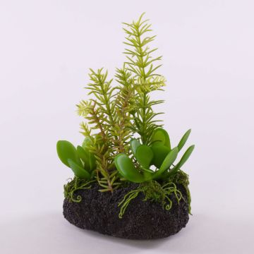 Composizione decorativa di piante grasse BAMBI con zolla, verde, 19 cm Composizione decorativa di piante grasse BAMBI con zolla, verde, 19 cm