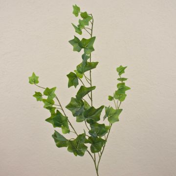 Ramo di edera artificiale DEXTER, verde, 65 cm Ramo di edera artificiale DEXTER, verde, 65 cm