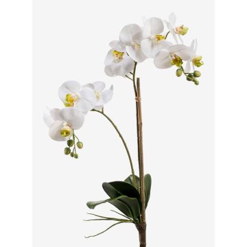 Orchidea Phalaenopsis di plastica CANDIDA su stelo, bianco, 65cm