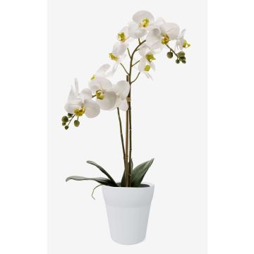 Orchidea Phalaenopsis artificiale CANDIDA in vaso di ceramica, bianca, 65 cm