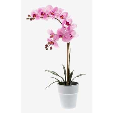 Orchidea Phalaenopsis artificiale CANDIDA in vaso di ceramica, rosa, 65 cm Orchidea Phalaenopsis artificiale CANDIDA in vaso di ceramica, rosa, 65 cm