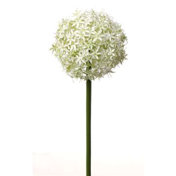 Allium finto SAMARA, bianco-verde, 75cm, Ø12cm Allium finto SAMARA, bianco-verde, 75cm, Ø12cm