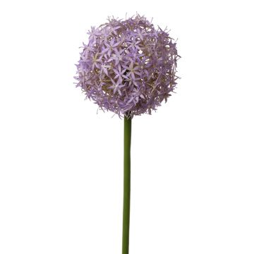 Allium finto SAMARA, viola, 75cm, Ø12cm Allium finto SAMARA, viola, 75cm, Ø12cm