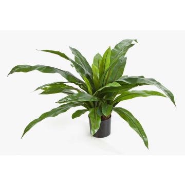 Pianta decorativa di felce JANE, verde, 80cm, Ø80cm Pianta decorativa di felce JANE, verde, 80cm, Ø80cm
