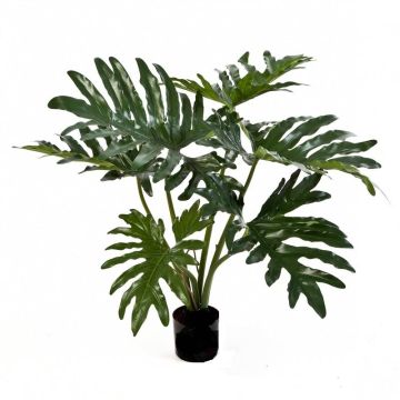 Philodendron Selloum artificiale LAINA, 60cm Philodendron Selloum artificiale LAINA, 60cm