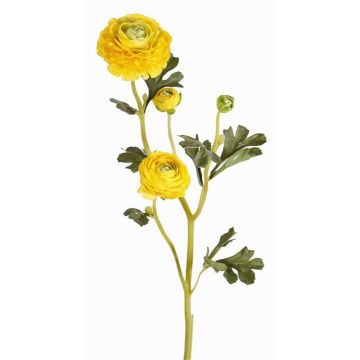 Ramo di ranuncolo tessile NOEMIE, giallo, 65cm, Ø4-8cm Ramo di ranuncolo tessile NOEMIE, giallo, 65cm, Ø4-8cm