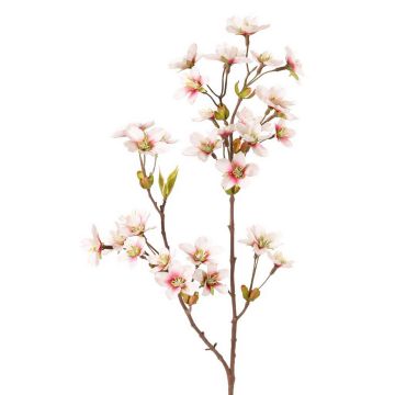 Ramo di fiori di melo di plastica SADAKA, fiorito, bianco-rosa, 85cm Ramo di fiori di melo di plastica SADAKA, fiorito, bianco-rosa, 85cm
