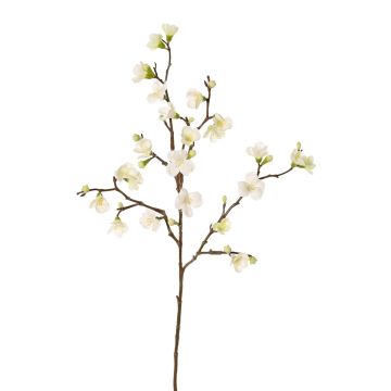 Ramo di fiori di melo di plastica SADAKA, fiorito, crema, 130cm Ramo di fiori di melo di plastica SADAKA, fiorito, crema, 130cm