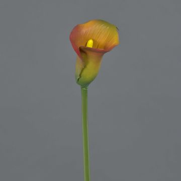 Calla decorativa CHIDORA, giallo-arancione, 55cm, 5x6cm