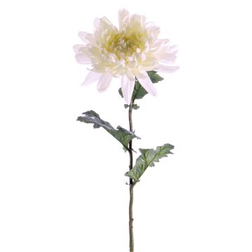 Crisantemo finto AMANDI, bianco, 75cm, Ø15cm Crisantemo finto AMANDI, bianco, 75cm, Ø15cm