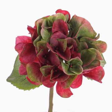 Ortensia di plastica CHIDORI, rosso-verde, 30cm, Ø13cm Ortensia di plastica CHIDORI, rosso-verde, 30cm, Ø13cm