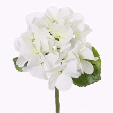 Ortensia di plastica CHIDORI, bianco-verde, 30cm, Ø13cm Ortensia di plastica CHIDORI, bianco-verde, 30cm, Ø13cm