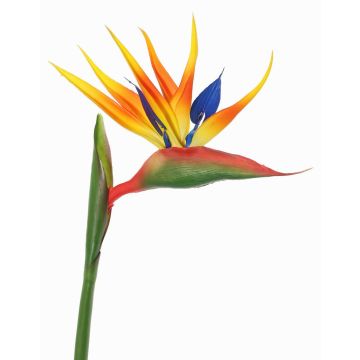 Strelizia artificiale LATIFA, arancione-viola, 80cm, 17x20cm Strelizia artificiale LATIFA, arancione-viola, 80cm, 17x20cm