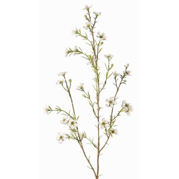 Fiore di cera artificiale NIANG, crema, 80cm, Ø1,5-2,5cm Fiore di cera artificiale NIANG, crema, 80cm, Ø1,5-2,5cm