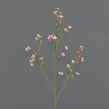 Fiore di cera artificiale NIANG, rosa-fucsia, 80cm, Ø2-3cm