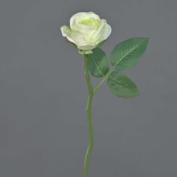 Rosa artificiale GABI, verde crema, 25cm, Ø5cm