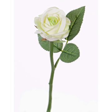 Rosa artificiale GABI, crema-verde, 30cm, Ø6cm