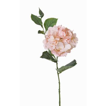 Ortensia finta ASUKA, rosa, 80cm, Ø15cm Ortensia finta ASUKA, rosa, 80cm, Ø15cm