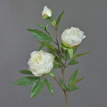 Ramo di peonia artificiale MANJA, bianco, 70cm, Ø8-10cm
