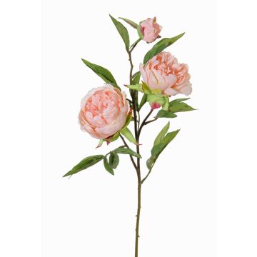 Ramo di peonia artificiale MANJA, rosa, 70cm, Ø8-10cm Ramo di peonia artificiale MANJA, rosa, 70cm, Ø8-10cm