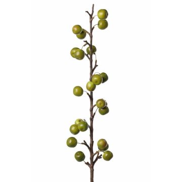 Ramo di melo decorativo BORIAN con frutti, verde, 95cm Ramo di melo decorativo BORIAN con frutti, verde, 95cm