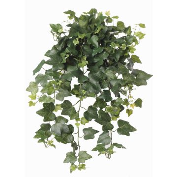 Pianta pensile di edera artificiale TILL, su stelo, zona trasversale, verde, 65cm Pianta pensile di edera artificiale TILL, su stelo, zona trasversale, verde, 65cm