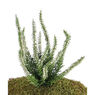 Erica finta IMKE su stelo, crema, 25cm, Ø1cm Erica finta IMKE su stelo, crema, 25cm, Ø1cm