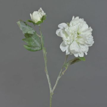 Peonia artificiale MALINE, neve, crema, 60cm, Ø12cm Peonia artificiale MALINE, neve, crema, 60cm, Ø12cm