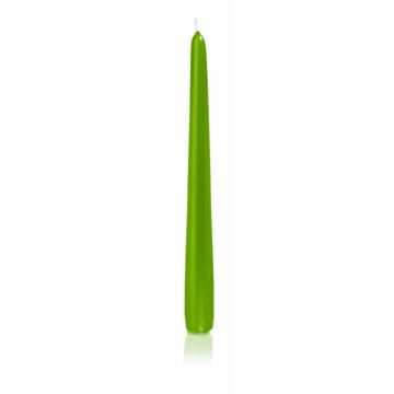 Candela da tavolo / Candela per la casa PALINA, verde, 25cm, Ø2,5cm, 8h - Made in Germany