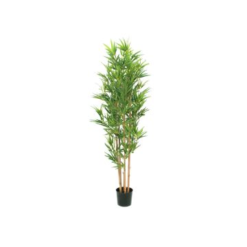 Bambù in plastica ELISSO, fusti autentici, 150 cm Bambù in plastica ELISSO, fusti autentici, 150 cm