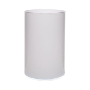 Vaso cilindrico in vetro SANYA EARTH, bianco, 21 cm, Ø14 cm Vaso cilindrico in vetro SANYA EARTH, bianco, 21 cm, Ø14 cm