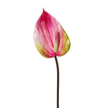 Fiore artificiale "Fiore di fenicottero" GRUNT, rosa, 75 cm Fiore artificiale "Fiore di fenicottero" GRUNT, rosa, 75 cm