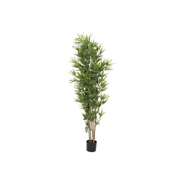 Bambù in plastica ELISSO, fusti veri, 180 cm Bambù in plastica ELISSO, fusti veri, 180 cm