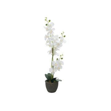 Orchidea Phalaenopsis in tessuto KATALIN, vaso decorativo, bianco, 80 cm Orchidea Phalaenopsis in tessuto KATALIN, vaso decorativo, bianco, 80 cm