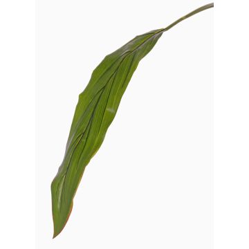 Foglia di cordilinea finta ELARA, verde, 90cm Foglia di cordilinea finta ELARA, verde, 90cm