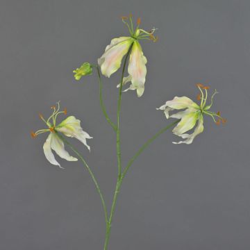 Gloriosa finta TIANA, rosa-verde, 80cm, Ø8-15cm
