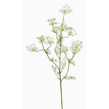 Ramo artificiale di aneto WINCENT con fiori, bianco-verde, 80cm Ramo artificiale di aneto WINCENT con fiori, bianco-verde, 80cm