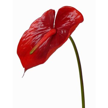 Anturio finto MOIRA, rosso, 75cm, 13x20cm Anturio finto MOIRA, rosso, 75cm, 13x20cm