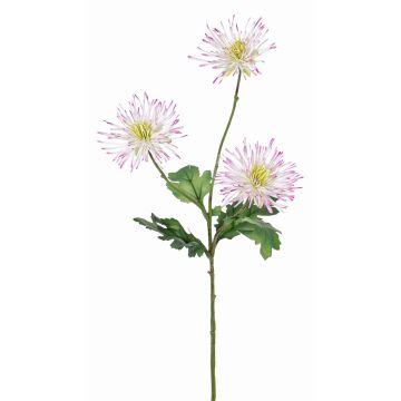 Crisantemo di plastica SOLVIE, bianco-rosa, 70cm, Ø10cm Crisantemo di plastica SOLVIE, bianco-rosa, 70cm, Ø10cm