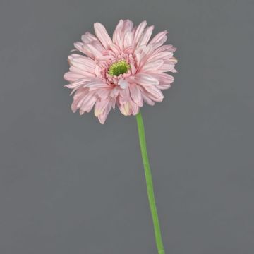 Gerbera finta HELLI, rosa, 65cm, Ø12cm