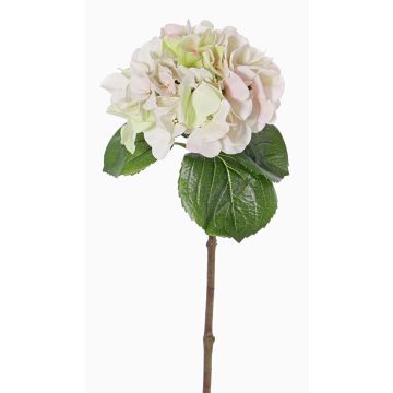 Ortensia di plastica CHIDORI, rosa crema, 60cm, Ø20cm Ortensia di plastica CHIDORI, rosa crema, 60cm, Ø20cm