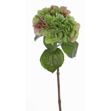 Ortensia di plastica CHIDORI, verde-rosa, 60cm, Ø20cm Ortensia di plastica CHIDORI, verde-rosa, 60cm, Ø20cm