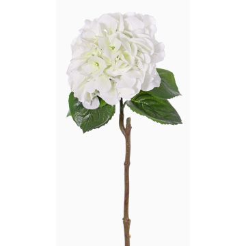Ortensia di plastica CHIDORI, bianco-verde, 60cm, Ø20cm Ortensia di plastica CHIDORI, bianco-verde, 60cm, Ø20cm