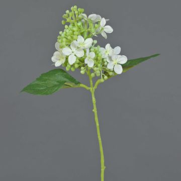 Ortensia finta CHABY, bianco-verde, 30cm, Ø9cm
