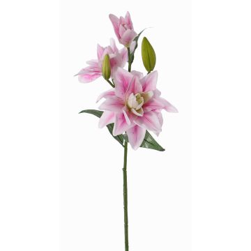 Giglio finto ISALIE, rosa-bianco, 80cm, Ø13-16cm Giglio finto ISALIE, rosa-bianco, 80cm, Ø13-16cm