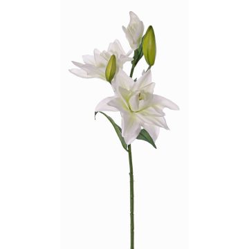 Giglio finto ISALIE, bianco-verde, 80cm, Ø15cm Giglio finto ISALIE, bianco-verde, 80cm, Ø15cm